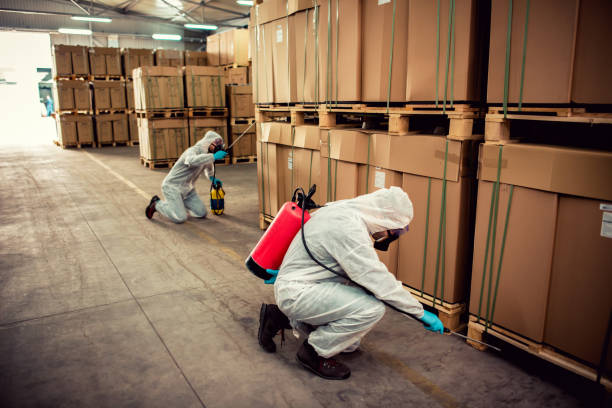 Best Cockroach Control Services  in Enosburg Falls, VT
