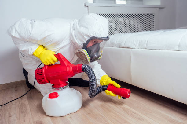 Best Flea Control Services  in Enosburg Falls, VT