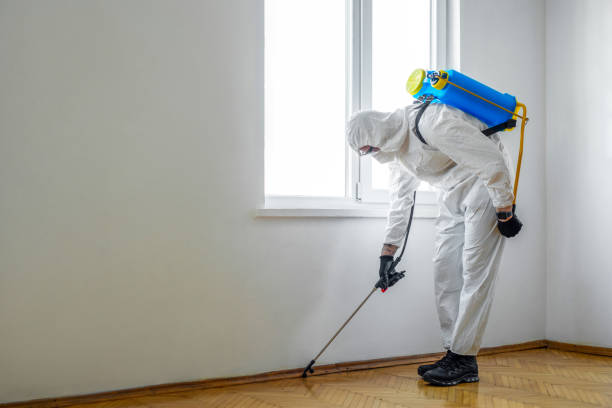 Best Affordable Pest Control Services  in Enosburg Falls, VT