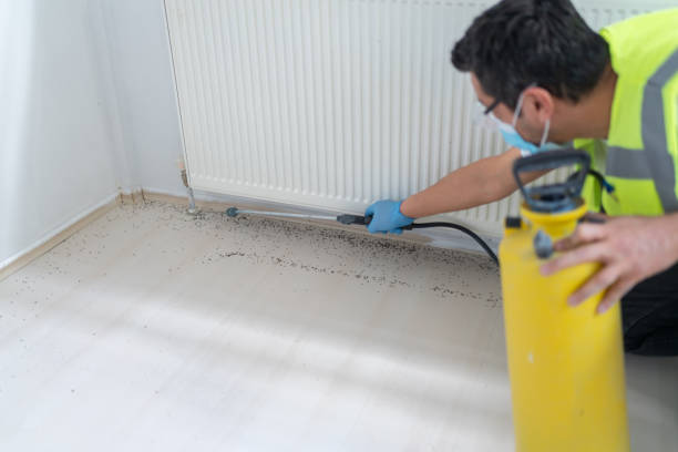 Best Pest Removal Services  in Enosburg Falls, VT